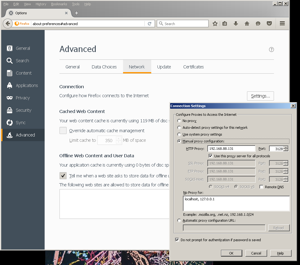 Firefox proxy settings